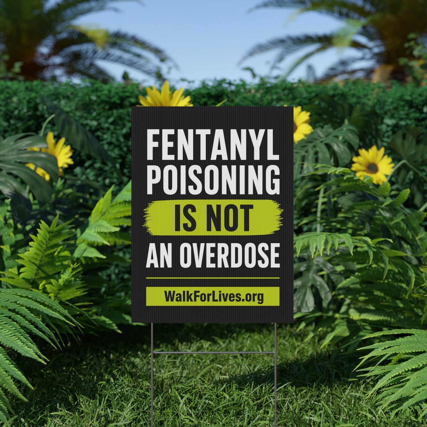 Fentanyl Poisoning Is Not An Overdose Yard Sign